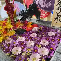 札幌諏訪神社の手水