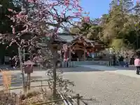 長岡天満宮の{uncategorized: "未分類", other: "その他", undefined: "問題あり", building: "その他建物", grave: "お墓", sacred_gate: "鳥居", guardian: "狛犬", statue: "像", buddha: "仏像", history: "歴史", nature: "自然", garden: "庭園", animal: "動物", pagoda: "塔", temizu: "手水舎", mountain_gate: "山門・神門", sanctuary: "本殿・本堂", subordinate: "末社・摂社", art: "芸術", scenery: "景色", jizo: "地蔵", ema: "絵馬", goshuin: "御朱印", omikuji: "おみくじ", items: "授与品その他", amulet: "お守り", goshuincho: "御朱印帳", eats: "食事", festival: "お祭り", votive_dance: "神楽", shichigosan: "七五三参", wedding: "結婚式", experience: "体験その他", initially: "初詣", around: "周辺", anti_infection: "感染症対策"}