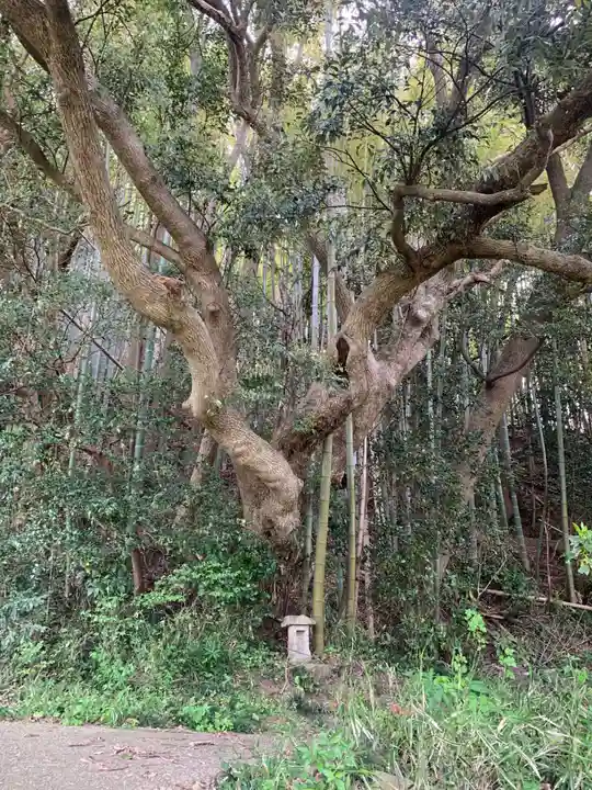 星神社(千葉県)