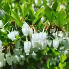 滑川神社 - 仕事と子どもの守り神の自然