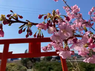 稲荷神社の自然