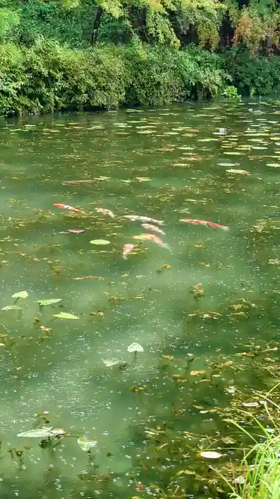 根道神社(岐阜県)