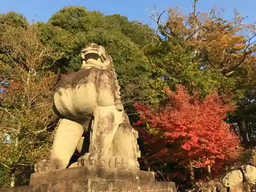 武田神社の狛犬