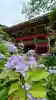 楽法寺(雨引観音)(茨城県)
