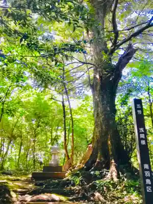 成田熊野神社(千葉県)