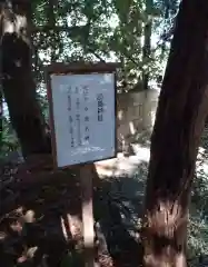 開運招福 飯玉神社(群馬県)