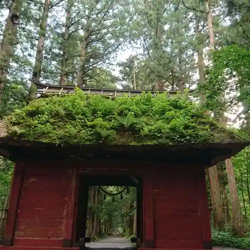 戸隠神社奥社(長野県)