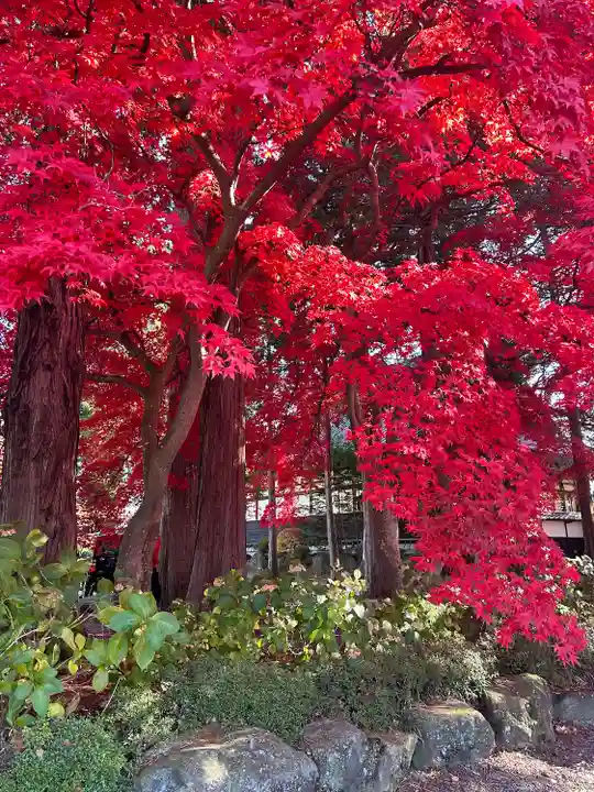長圓寺(長野県)