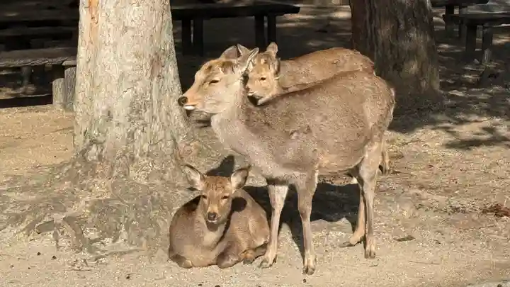 東大寺(奈良県)