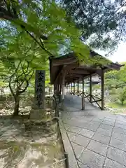 佛通寺(広島県)