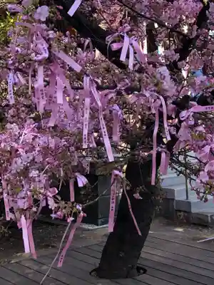 桜神宮の授与品その他