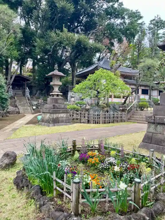 東光寺の{uncategorized: "未分類", other: "その他", undefined: "問題あり", building: "その他建物", grave: "お墓", sacred_gate: "鳥居", guardian: "狛犬", statue: "像", buddha: "仏像", history: "歴史", nature: "自然", garden: "庭園", animal: "動物", pagoda: "塔", temizu: "手水舎", mountain_gate: "山門・神門", sanctuary: "本殿・本堂", subordinate: "末社・摂社", art: "芸術", scenery: "景色", jizo: "地蔵", ema: "絵馬", goshuin: "御朱印", omikuji: "おみくじ", items: "授与品その他", amulet: "お守り", goshuincho: "御朱印帳", eats: "食事", festival: "お祭り", votive_dance: "神楽", shichigosan: "七五三参", wedding: "結婚式", experience: "体験その他", initially: "初詣", around: "周辺", anti_infection: "感染症対策"}