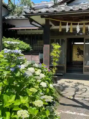本郷氷川神社(東京都)