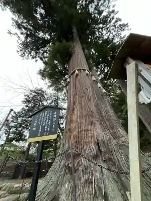 日枝神社(静岡県)