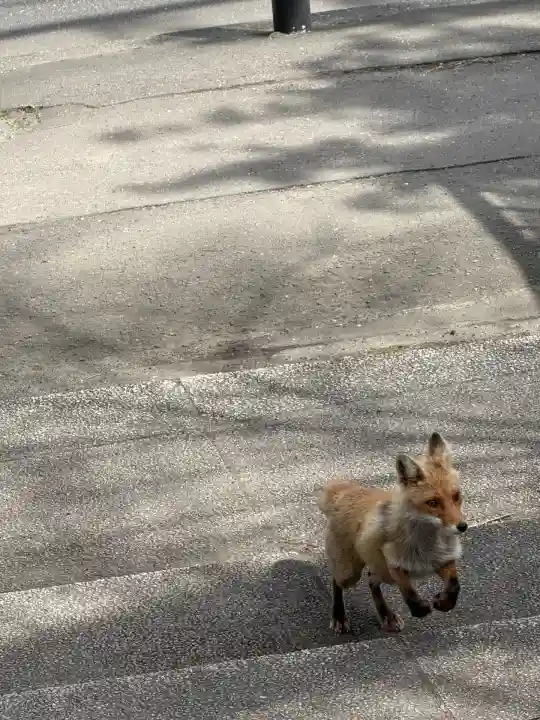 北広島市総鎮守 廣島神社(北海道)
