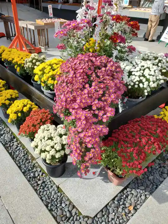 宮城縣護國神社の自然