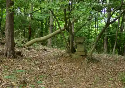 賀茂別雷神社(栃木県)