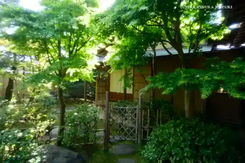 石歴山　妙勝寺の庭園