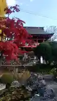 長圓寺の庭園