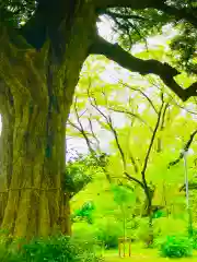 愛宕神社(茨城県)