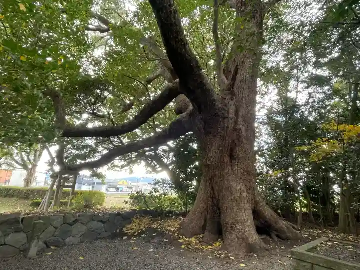 御薗神社の{uncategorized: "未分類", other: "その他", undefined: "問題あり", building: "その他建物", grave: "お墓", sacred_gate: "鳥居", guardian: "狛犬", statue: "像", buddha: "仏像", history: "歴史", nature: "自然", garden: "庭園", animal: "動物", pagoda: "塔", temizu: "手水舎", mountain_gate: "山門・神門", sanctuary: "本殿・本堂", subordinate: "末社・摂社", art: "芸術", scenery: "景色", jizo: "地蔵", ema: "絵馬", goshuin: "御朱印", omikuji: "おみくじ", items: "授与品その他", amulet: "お守り", goshuincho: "御朱印帳", eats: "食事", festival: "お祭り", votive_dance: "神楽", shichigosan: "七五三参", wedding: "結婚式", experience: "体験その他", initially: "初詣", around: "周辺", anti_infection: "感染症対策"}