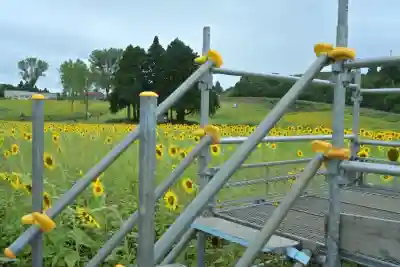 沢山神社（澤山神社)(新潟県)