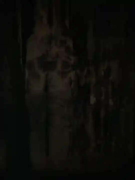 永保寺(岐阜県)