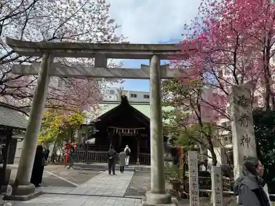 蔵前神社の{uncategorized: "未分類", other: "その他", undefined: "問題あり", building: "その他建物", grave: "お墓", sacred_gate: "鳥居", guardian: "狛犬", statue: "像", buddha: "仏像", history: "歴史", nature: "自然", garden: "庭園", animal: "動物", pagoda: "塔", temizu: "手水舎", mountain_gate: "山門・神門", sanctuary: "本殿・本堂", subordinate: "末社・摂社", art: "芸術", scenery: "景色", jizo: "地蔵", ema: "絵馬", goshuin: "御朱印", omikuji: "おみくじ", items: "授与品その他", amulet: "お守り", goshuincho: "御朱印帳", eats: "食事", festival: "お祭り", votive_dance: "神楽", shichigosan: "七五三参", wedding: "結婚式", experience: "体験その他", initially: "初詣", around: "周辺", anti_infection: "感染症対策"}