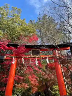 宇治上神社の鳥居
