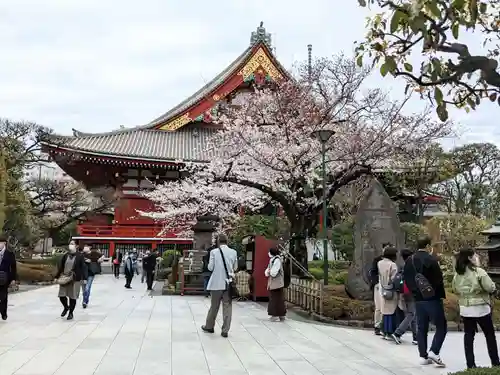 浅草神社の周辺