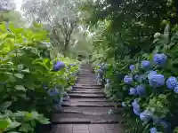 明月院(神奈川県)