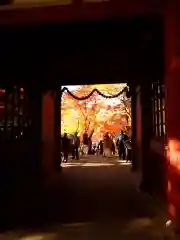 本土寺の自然