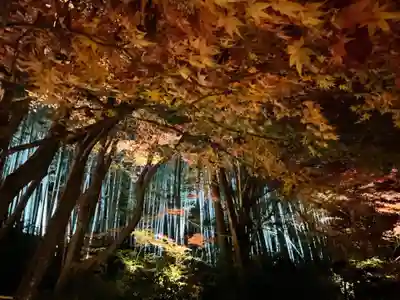 教林坊(滋賀県)