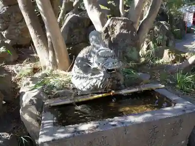 渋川八幡宮の手水舎