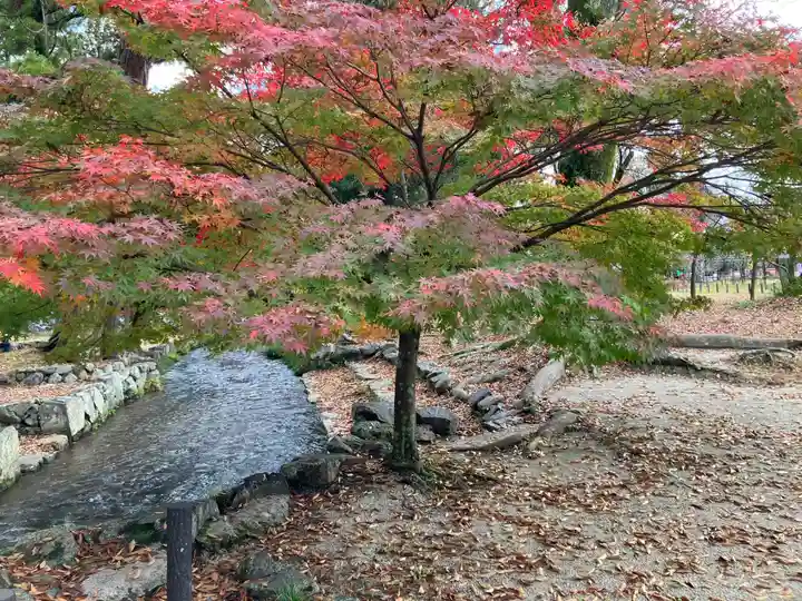 賀茂別雷神社(上賀茂神社)(京都府)