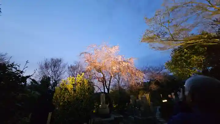 高台寺(高台寿聖禅寺・高臺寺)(京都府)