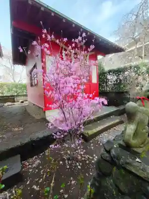 蓮沼氷川神社の末社・摂社