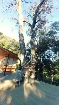 白山宮のその他建物