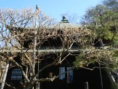 瑞泉寺の本殿・本堂