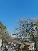 湯島天満宮の自然