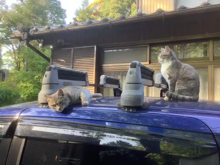 玉野御嶽神社の動物