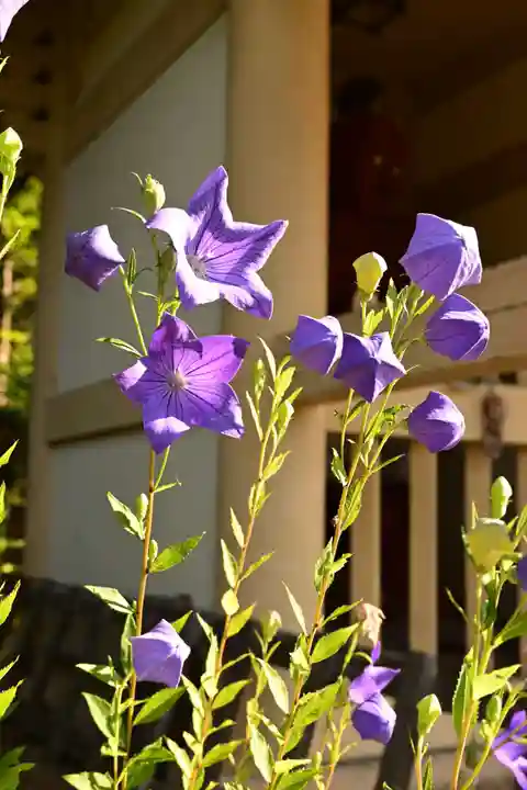 定福寺(高知県)