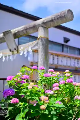 川越熊野神社(埼玉県)