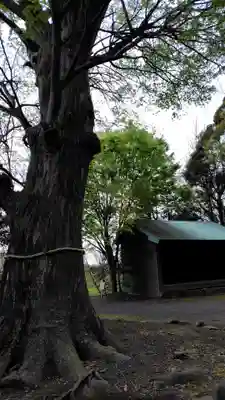 神明神社(静岡県)