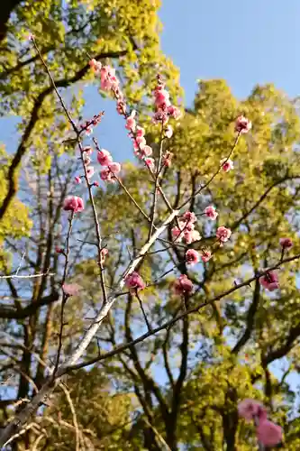 潮江天満宮(高知県)