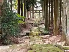 矢沢神社の鳥居