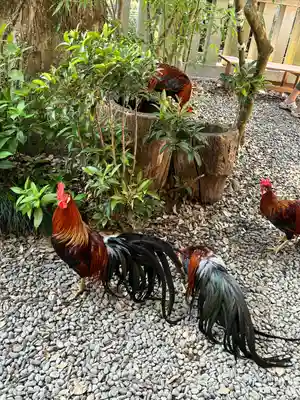 大甕神社(茨城県)