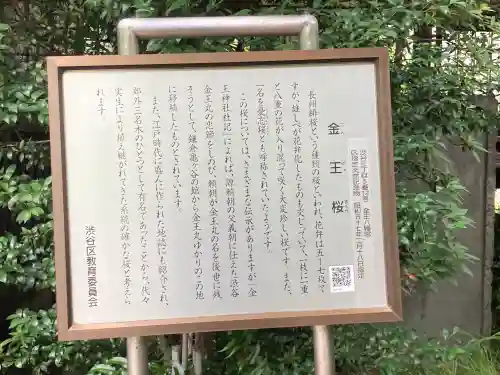 金王八幡宮(東京都)