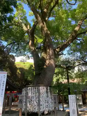 平塚八幡宮(神奈川県)