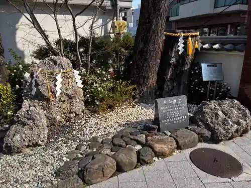 神田神社（神田明神）の自然